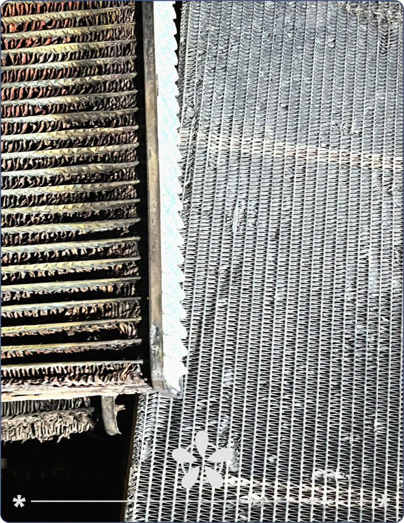 Home 8 Recurso 13-100